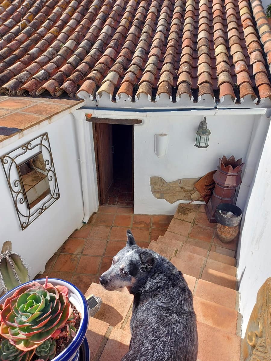 3 soveværelse Rækkehus til salg i Jimena de la Frontera - € 250.000 (Ref: 7316001)