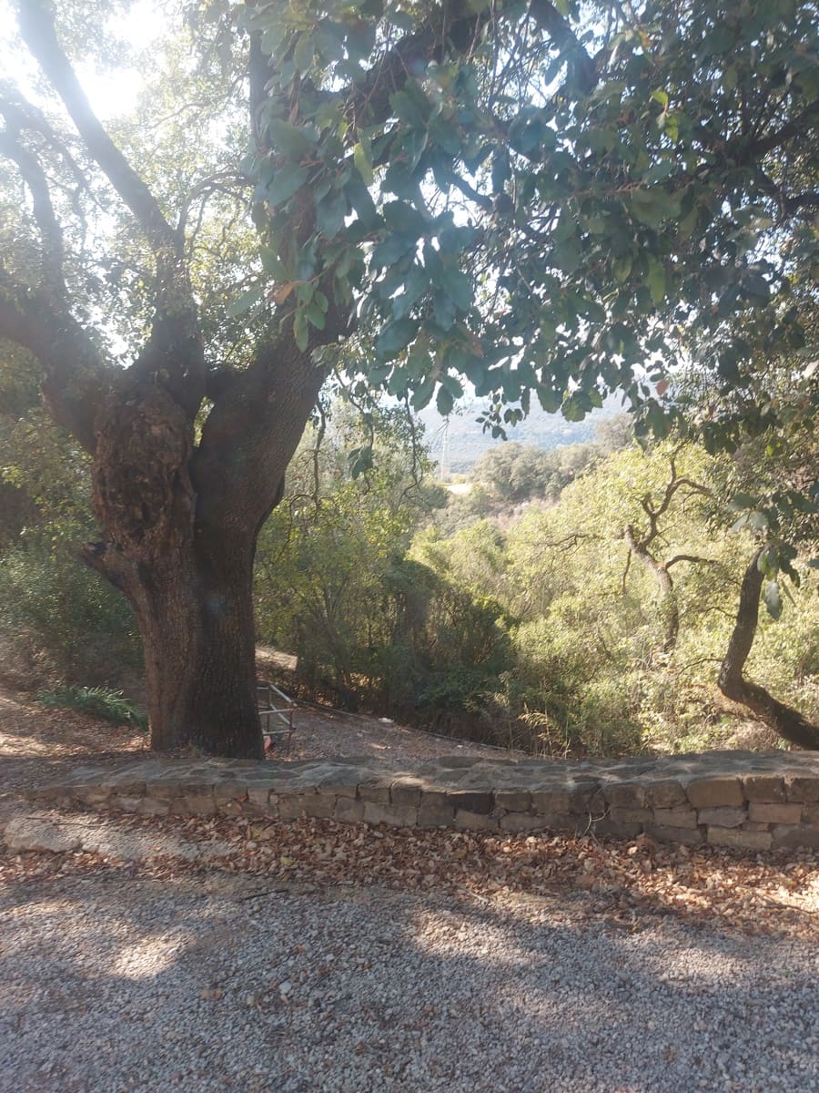   4 soveværelse   ferieFinca/Landehus i Gaucin   med   swimmingpool   - € 2.300 (Ref: 7811995)