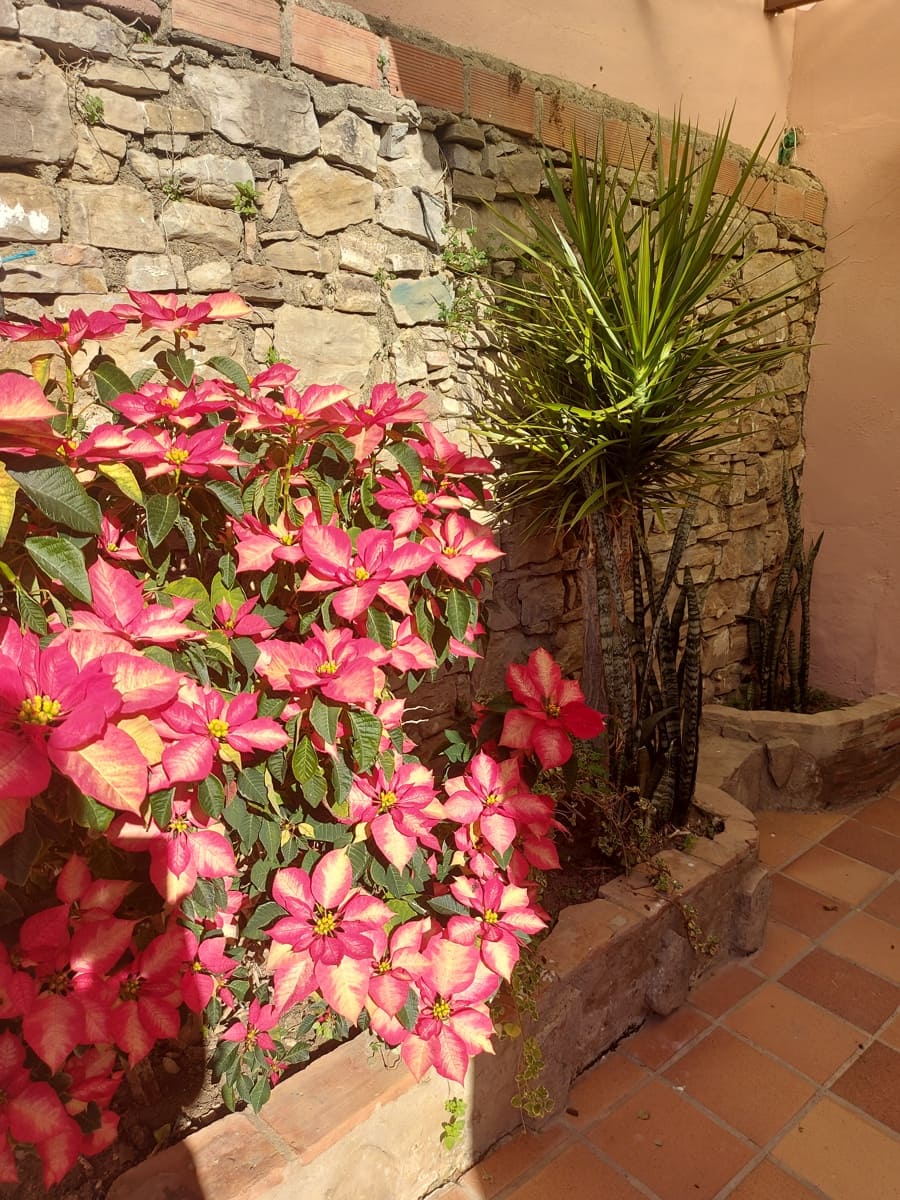 3 slaapkamer Rijtjeshuis te koop in Jimena de la Frontera - € 149.000 (Ref: 8008044)