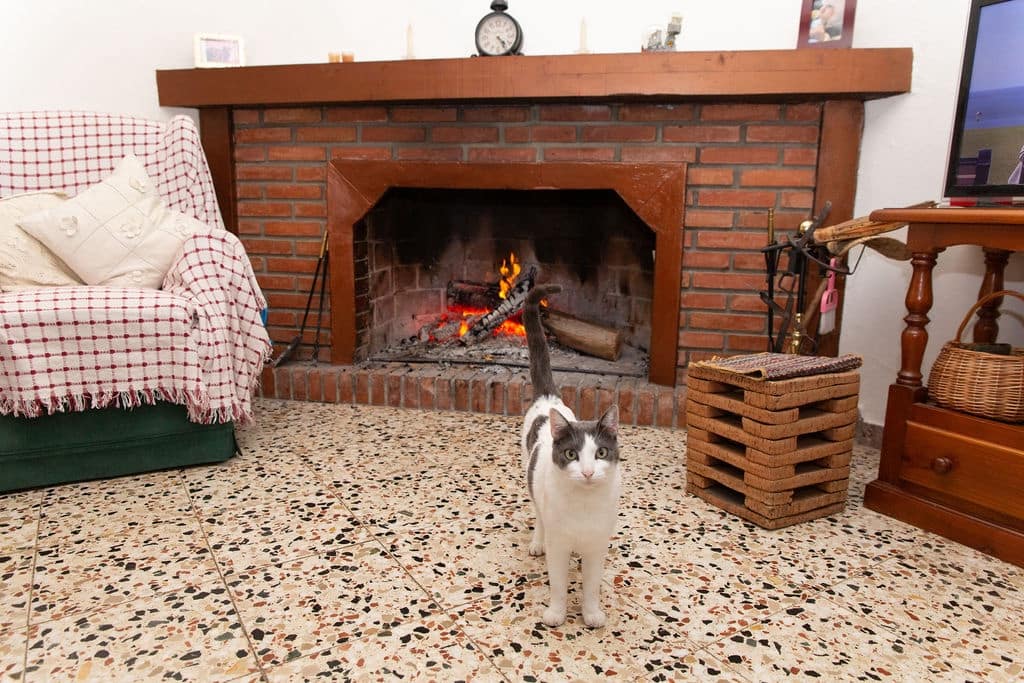 4 soveværelse Finca/Landehus til salg i San Pablo de Buceite med swimmingpool garage - € 430.000 (Ref: 8132599)