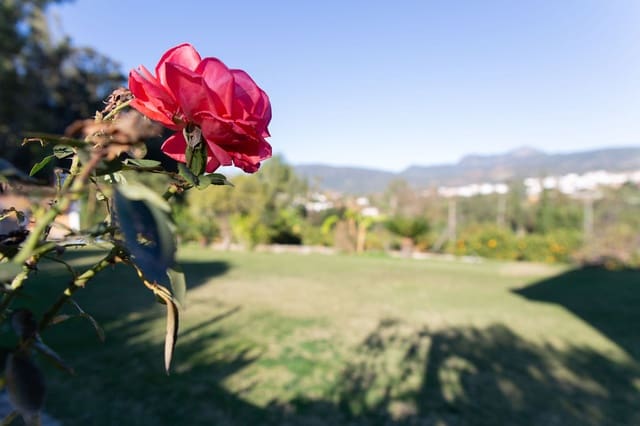 4 soveværelse Finca/Landehus til salg i San Pablo de Buceite, Jimena de la Frontera med swimmingpool garage - € 430.000 (Ref: 8132599)