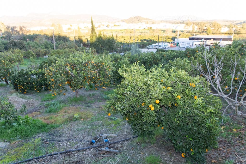 4 soveværelse Finca/Landehus til salg i San Pablo de Buceite med swimmingpool garage - € 430.000 (Ref: 8132599)