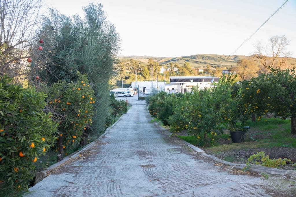 4 soveværelse Finca/Landehus til salg i San Pablo de Buceite med swimmingpool garage - € 430.000 (Ref: 8132599)