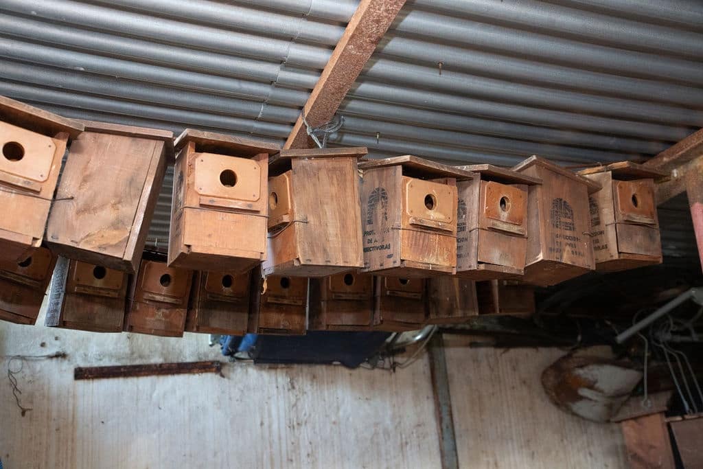 4 soveværelse Finca/Landehus til salg i San Pablo de Buceite med swimmingpool garage - € 430.000 (Ref: 8132599)