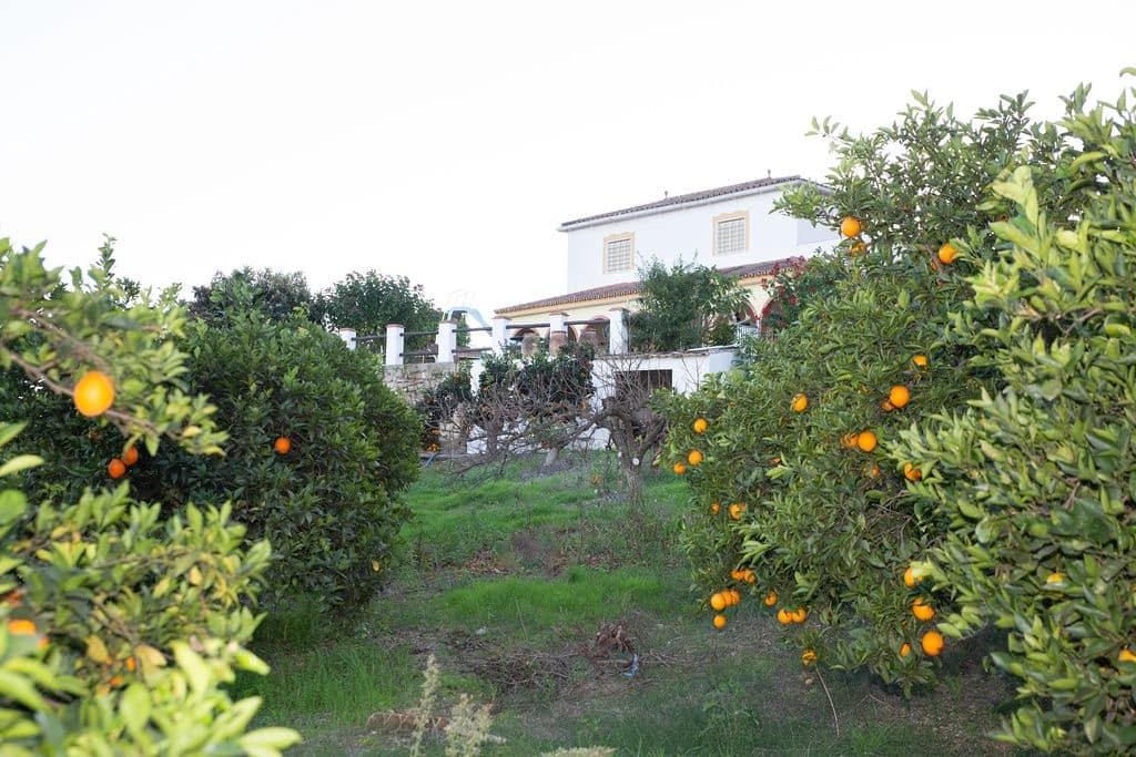 4 soveværelse Finca/Landehus til salg i San Pablo de Buceite med swimmingpool garage - € 430.000 (Ref: 8132599)