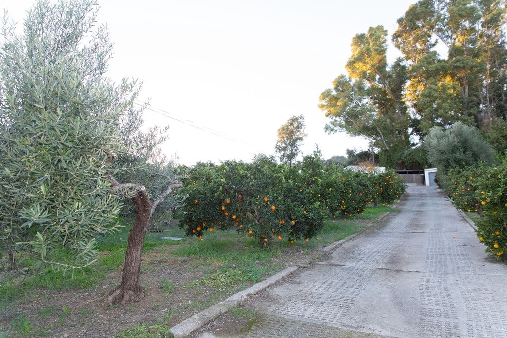 4 soveværelse Finca/Landehus til salg i San Pablo de Buceite med swimmingpool garage - € 430.000 (Ref: 8132599)