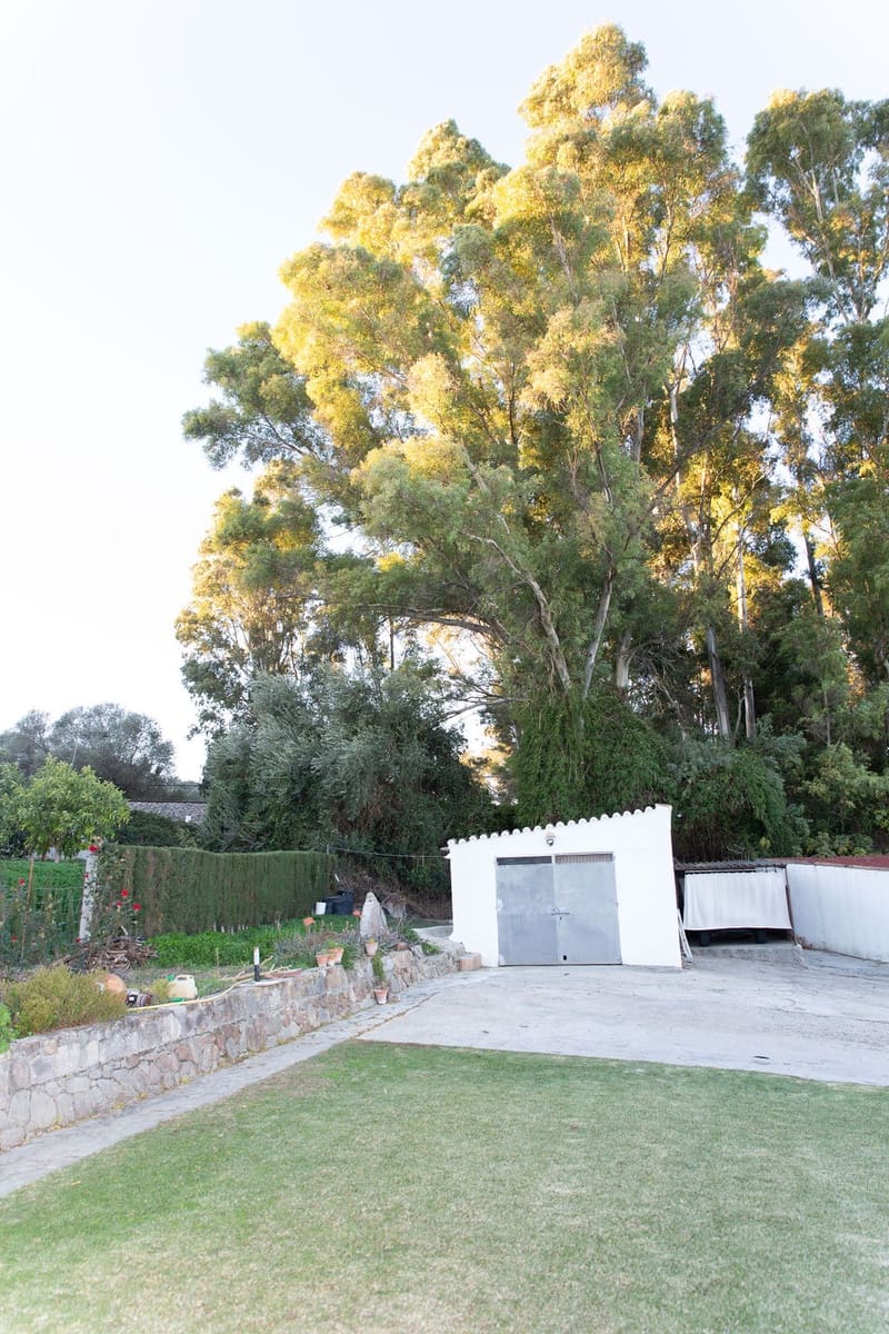 4 soveværelse Finca/Landehus til salg i San Pablo de Buceite med swimmingpool garage - € 430.000 (Ref: 8132599)