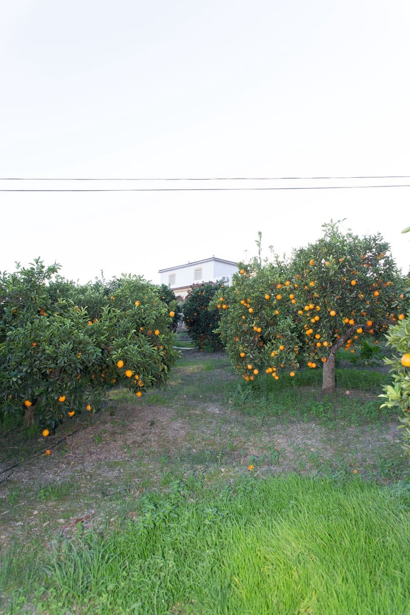 4 soveværelse Finca/Landehus til salg i San Pablo de Buceite med swimmingpool garage - € 430.000 (Ref: 8132599)