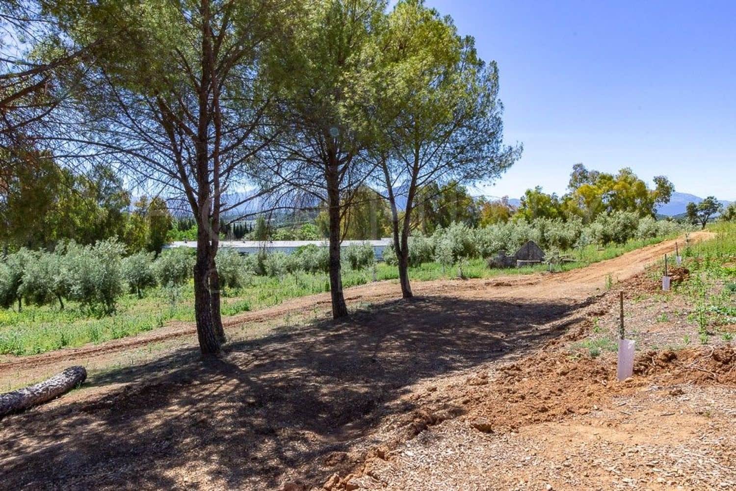 7 bedroom Finca/Country House for sale in Archidona with pool garage - € 750,000 (Ref: 9709496)