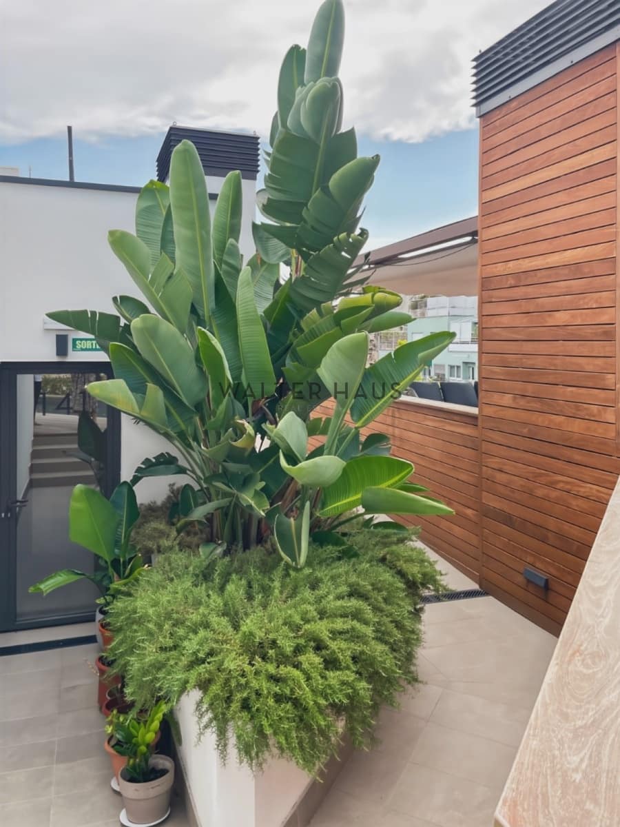 4 sovrum Lägenhet att hyra i Barcelona stad - 6 800 € (Ref: 9197240)