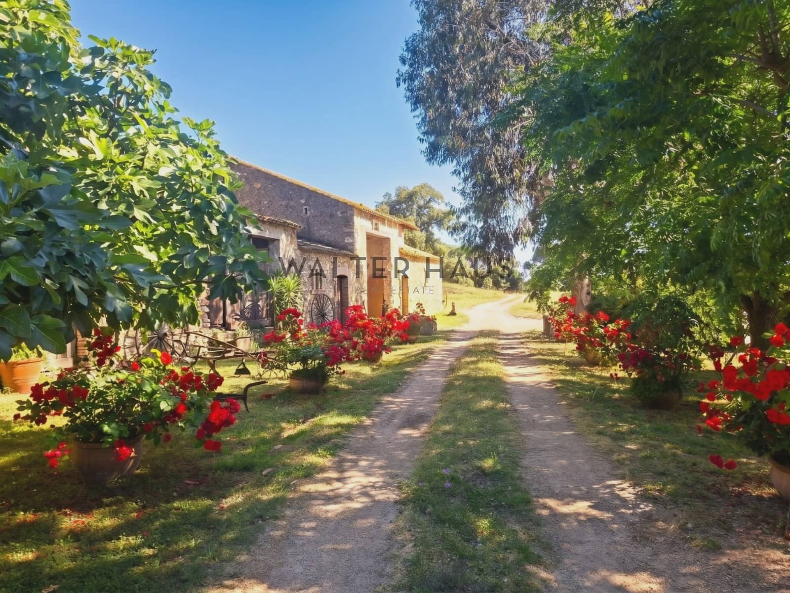 12 quarto Moradia para venda em Llagostera - 4 700 000 € (Ref: 9374105)