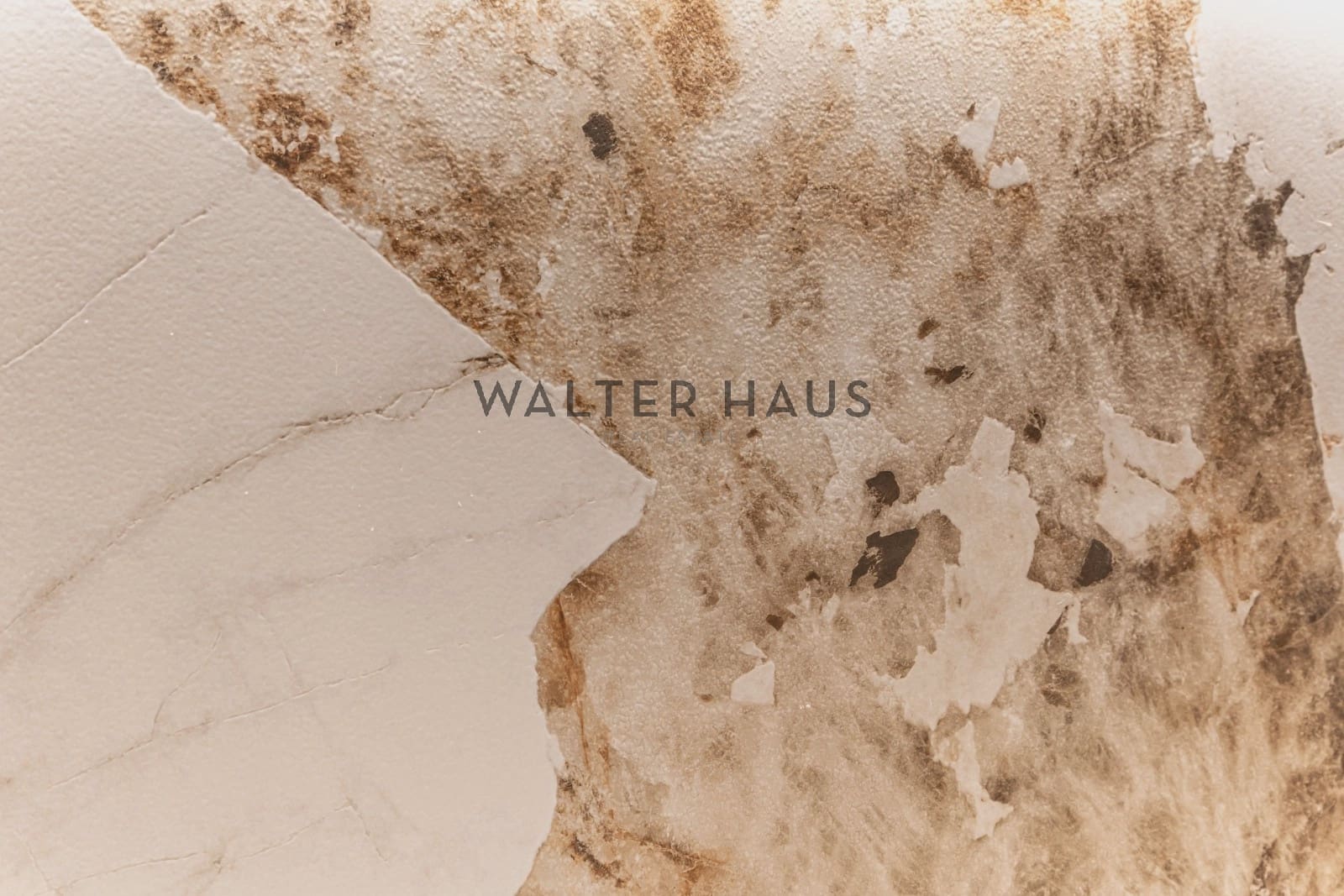 3 slaapkamer Flat te koop in Madrid stad met zwembad - € 2.550.000 (Ref: 9405905)