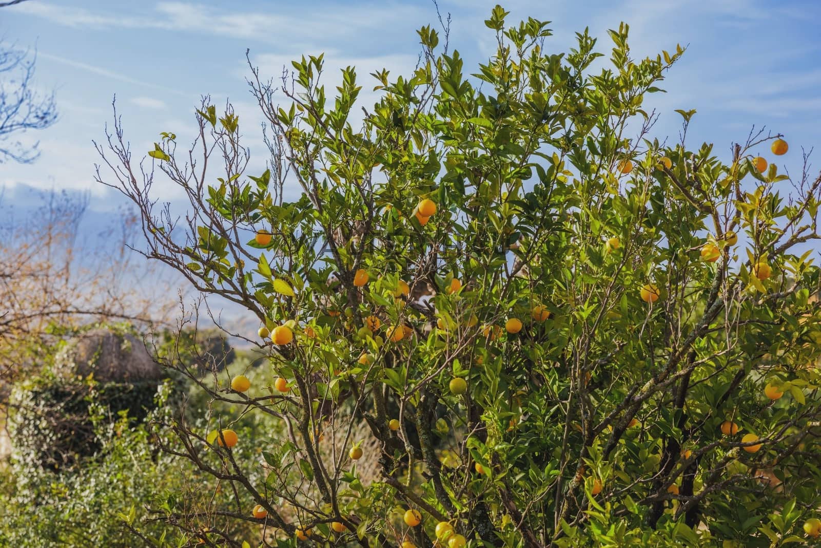 4 quarto Moradia para venda em Blanes com piscina - 920 000 € (Ref: 9460647)