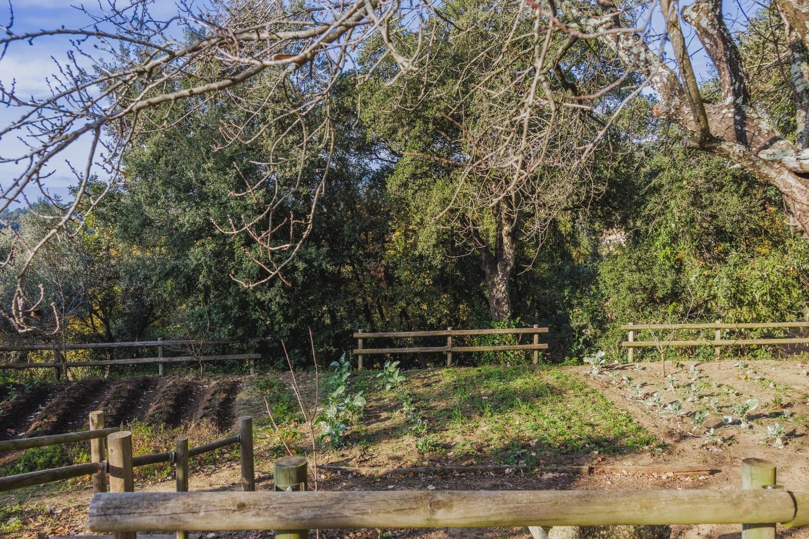 4 quarto Moradia para venda em Blanes com piscina - 920 000 € (Ref: 9460647)