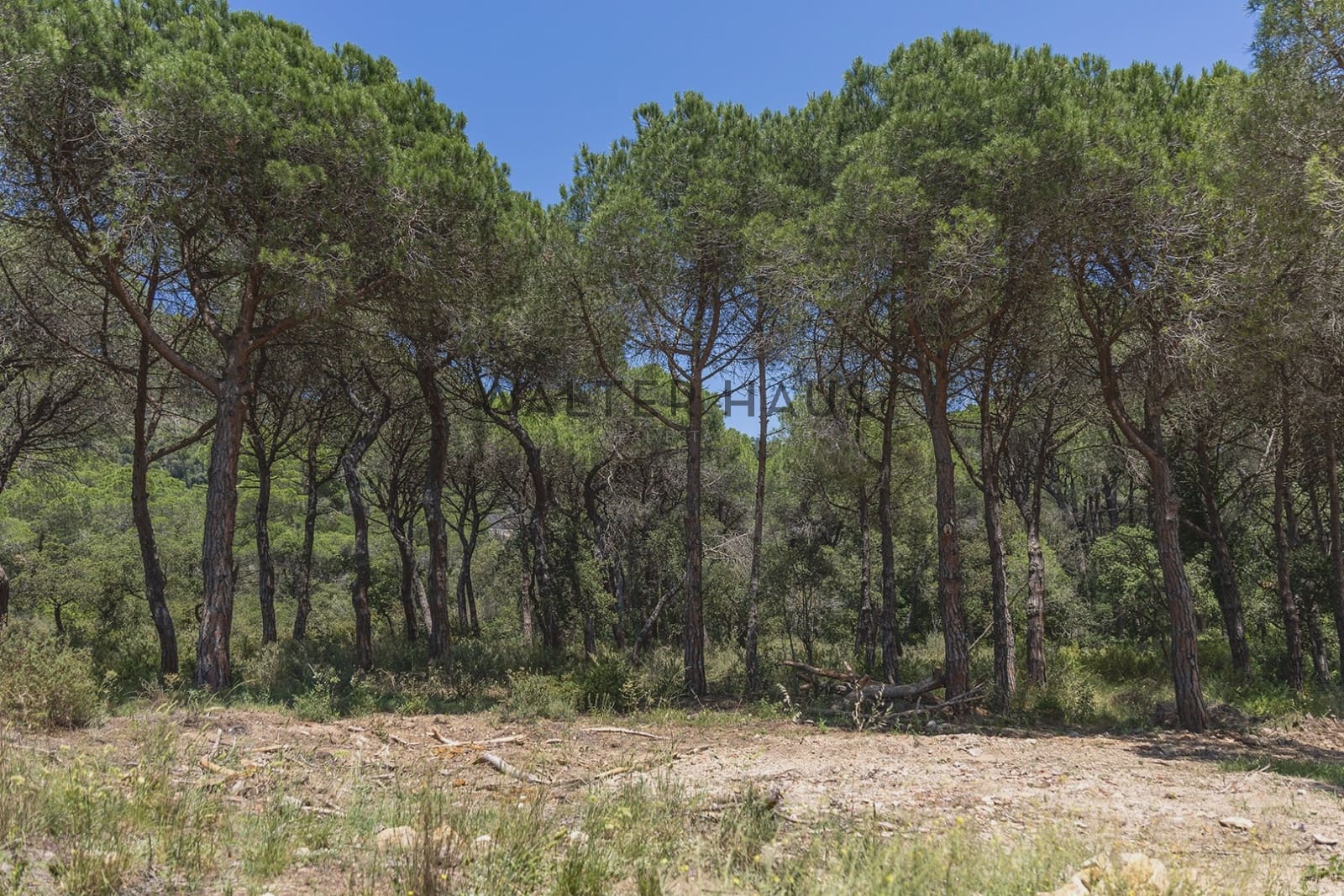 Chalet de 4 habitaciones en Platja d'Aro en venta - 1.875.000 € (Ref: 9882616)