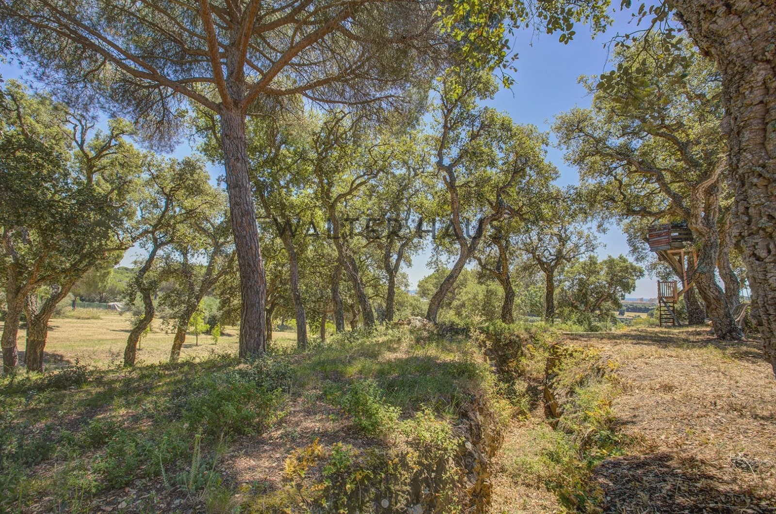 4 quarto Moradia para venda em Calonge i Sant Antoni - 990 000 € (Ref: 9948399)