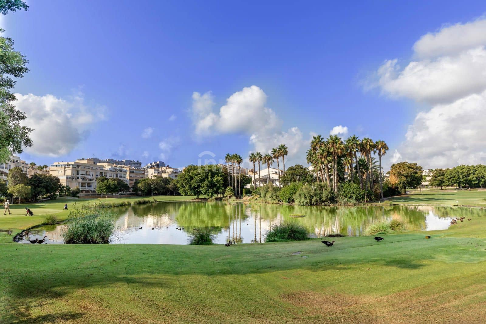 2 soveværelse Lejlighed til leje i Alicante by med swimmingpool garage - € 1.500 (Ref: 9161928)