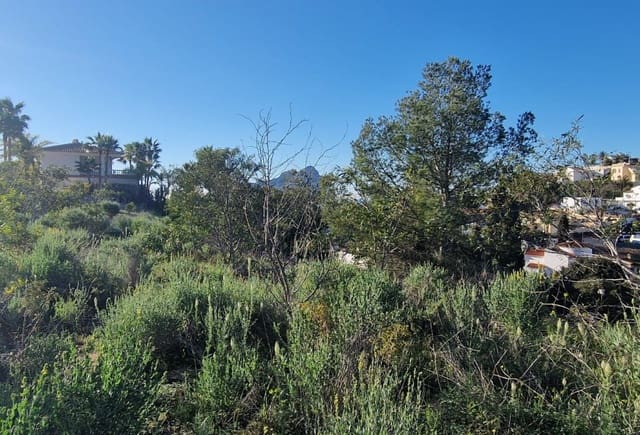 Teren niezagospodarowany na sprzedaż w Cometa - Carrió, Calpe / Calp - 280 000 € (Ref: 10043775)