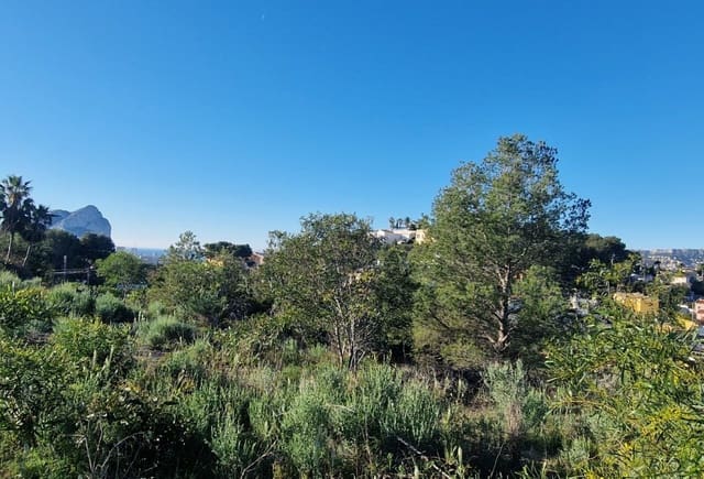 Teren niezagospodarowany na sprzedaż w Cometa - Carrió, Calpe / Calp - 280 000 € (Ref: 10043775)