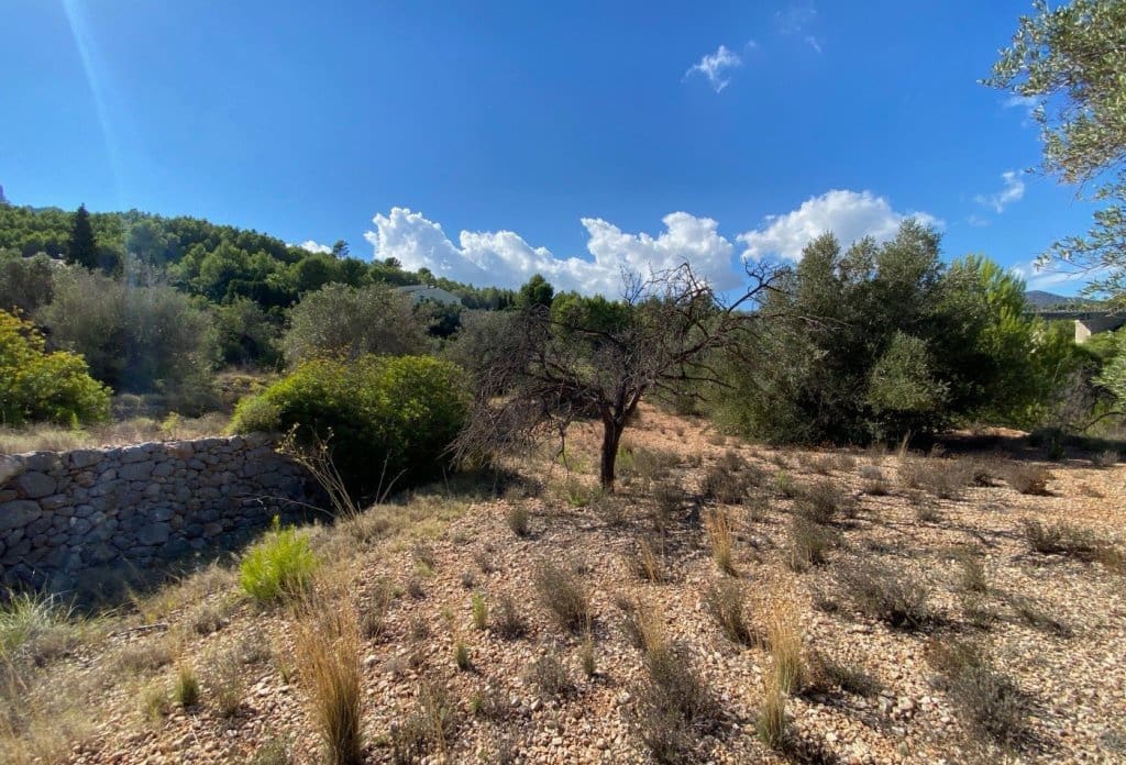 Grunde uden byggetilladelser til salg i Benissa - € 230.000 (Ref: 10043892)