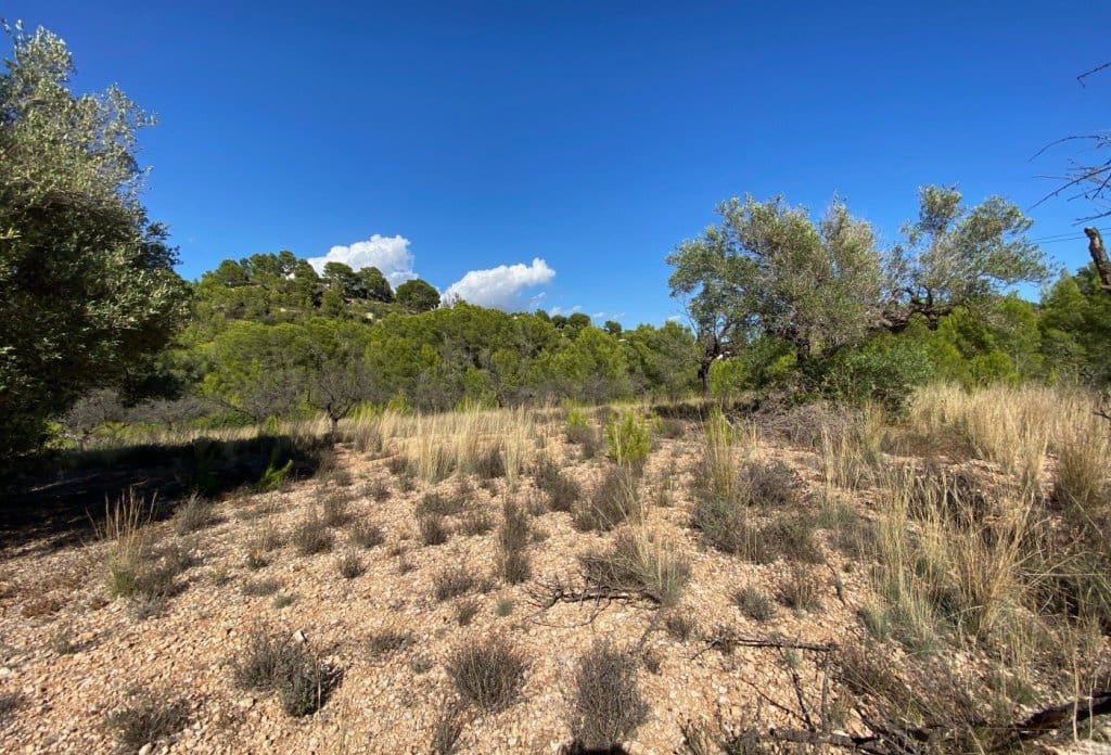 Grunde uden byggetilladelser til salg i Benissa - € 230.000 (Ref: 10043892)