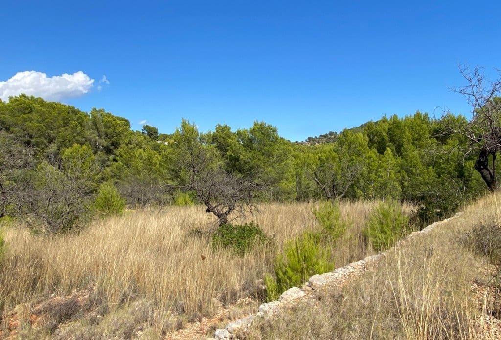Grunde uden byggetilladelser til salg i Benissa - € 230.000 (Ref: 10043892)