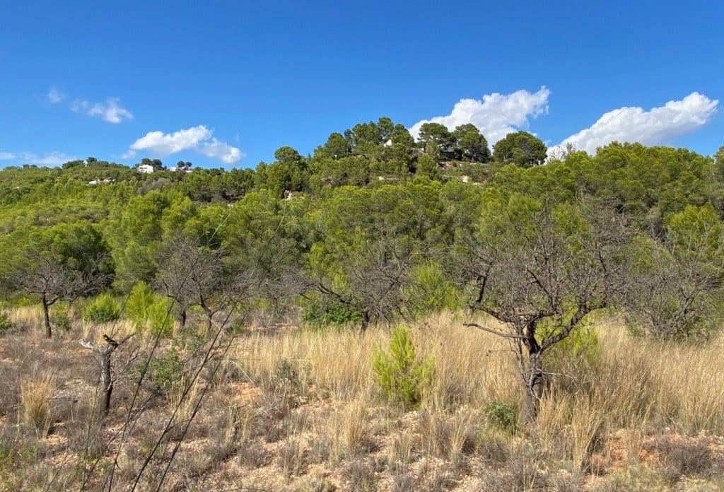 Grunde uden byggetilladelser til salg i Benissa - € 230.000 (Ref: 10043892)