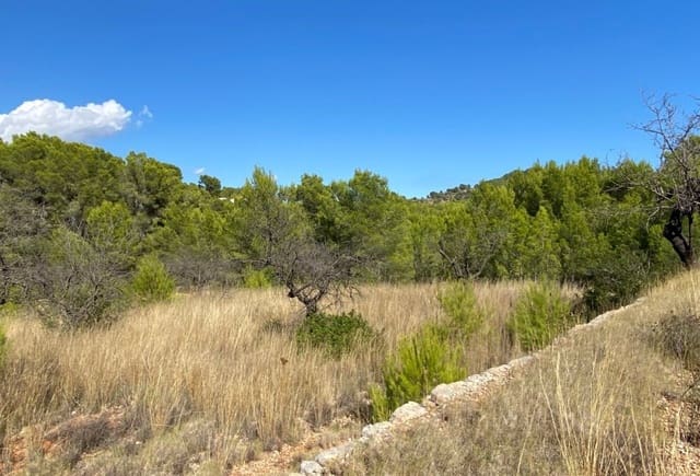 Grunde uden byggetilladelser til salg i Benissa - € 230.000 (Ref: 10043892)