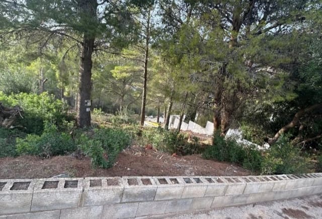 Terreno Non Edificato in vendita in Alhama Springs, Altea - 135.000 € (Rif: 10043917)
