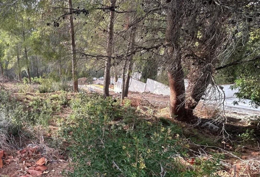 Terreno Non Edificato in vendita in Altea - 135.000 € (Rif: 10043917)