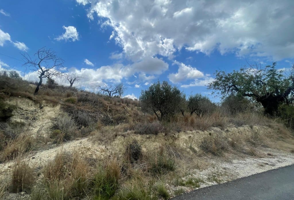Terreno Non Edificato in vendita in Benissa - 199.000 € (Rif: 10043931)