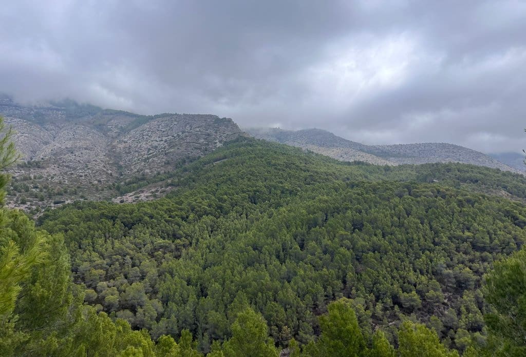 Terreno Não Urbanizado para venda em Callosa d'En Sarria - 955 000 € (Ref: 10043941)