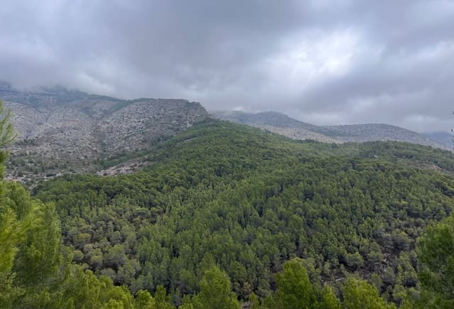 Terreno Não Urbanizado para venda em Callosa d'En Sarrià - 955 000 € (Ref: 10043941)