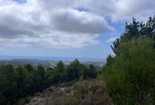 Terreno Não Urbanizado para venda em Callosa d'En Sarrià - 955 000 € (Ref: 10043941)