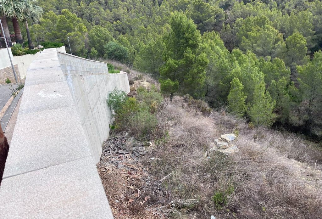Terreno Não Urbanizado para venda em Callosa d'En Sarria - 955 000 € (Ref: 10043941)