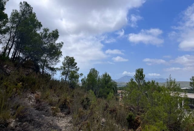 Terreno Não Urbanizado para venda em Callosa d'En Sarrià - 955 000 € (Ref: 10043941)