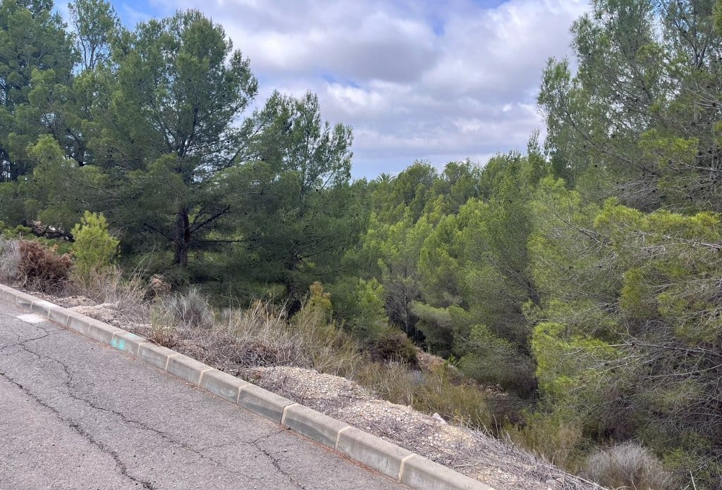 Terreno Não Urbanizado para venda em Callosa d'En Sarria - 955 000 € (Ref: 10043941)