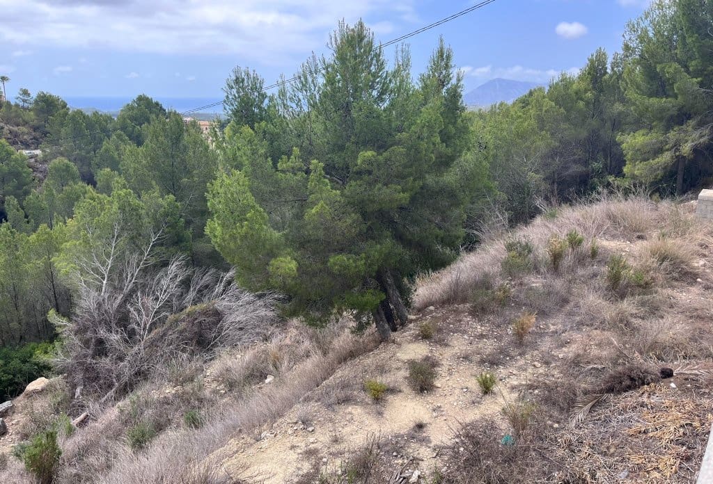Terreno Não Urbanizado para venda em Callosa d'En Sarria - 955 000 € (Ref: 10043941)