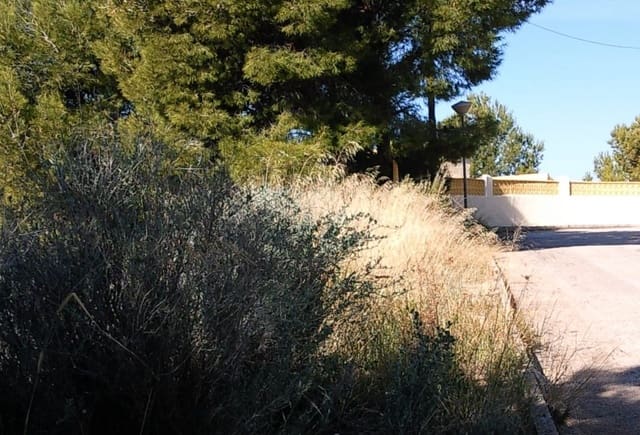 Terre non Aménagée à vendre à Cometa - Carrió, Calpe / Calp - 210 000 € (Ref: 10043963)