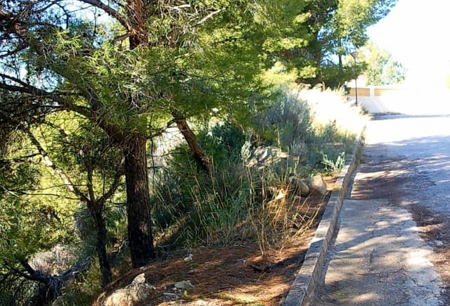 Terre non Aménagée à vendre à Cometa - Carrió, Calpe / Calp - 210 000 € (Ref: 10043963)