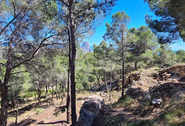 Landgrundstück zu verkaufen in Oltamar - Cucarres, Calpe / Calp - 1.345.000 € (Ref: 10043993)