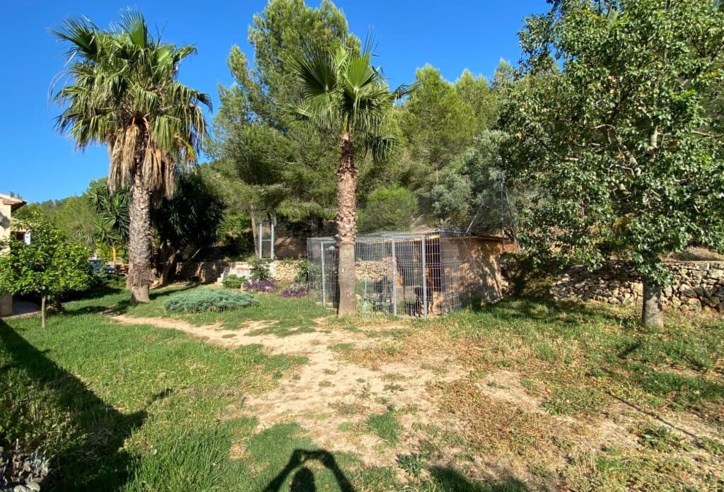 4 sypialnia Finka/Dom wiejski na sprzedaż w Jalon / Xalo z basenem - 795 000 € (Ref: 10079049)
