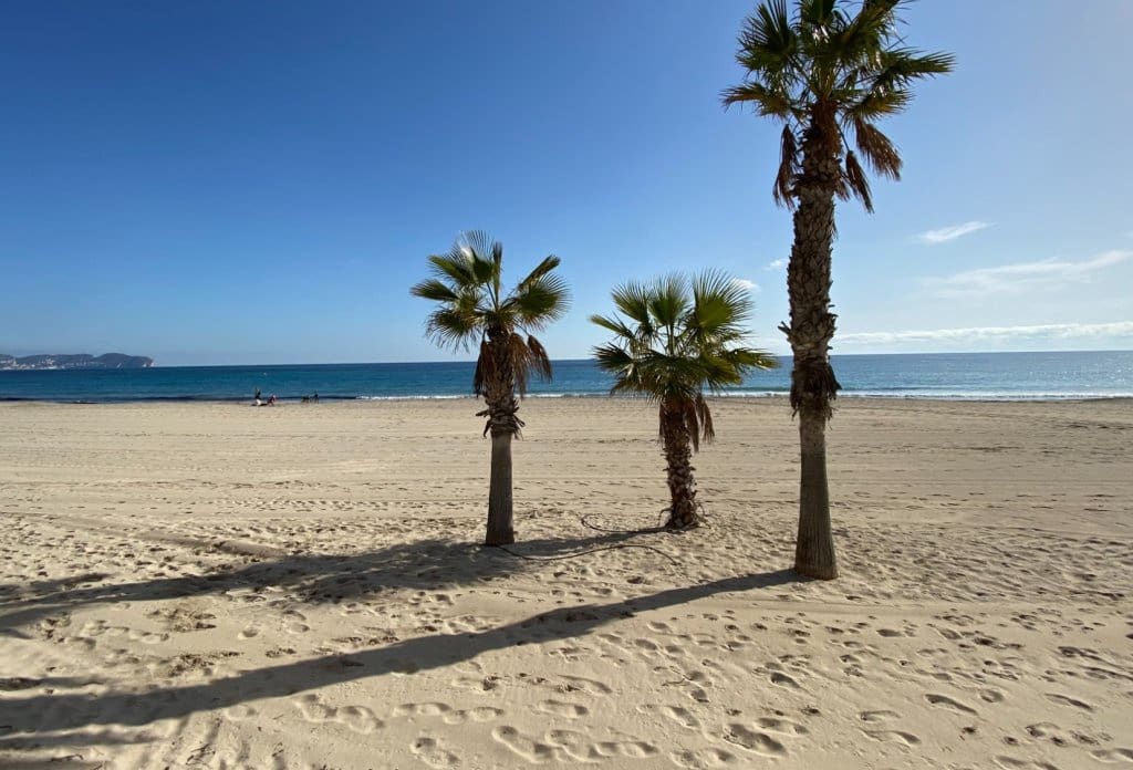 1 Zimmer Apartment zu verkaufen in Calpe / Calp mit Pool - 240.000 € (Ref: 10079831)