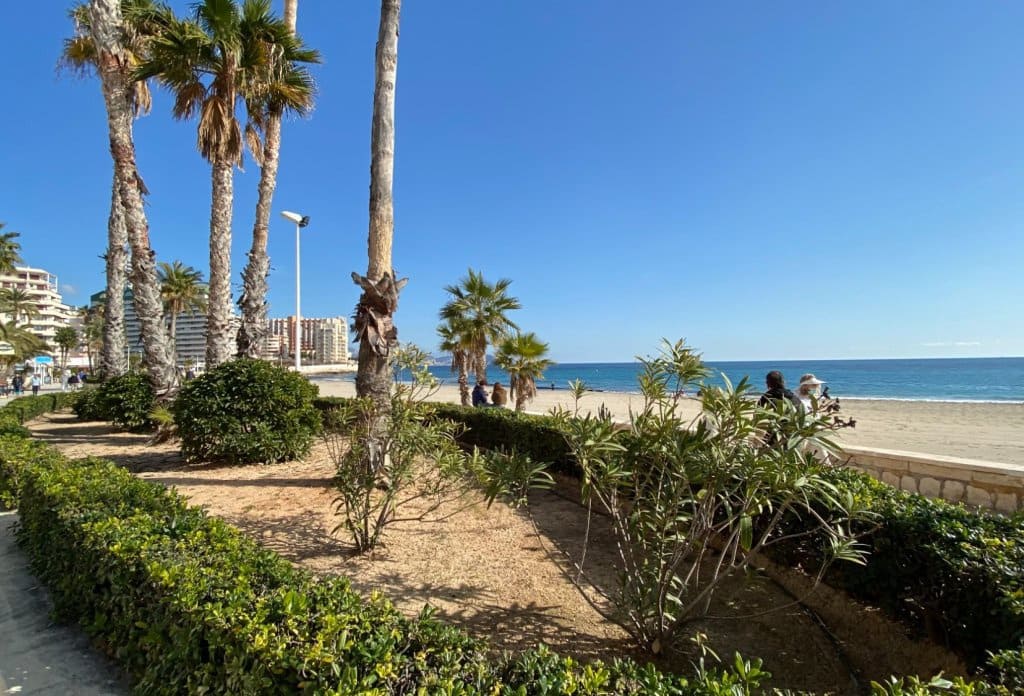 1 Zimmer Apartment zu verkaufen in Calpe / Calp mit Pool - 240.000 € (Ref: 10079831)