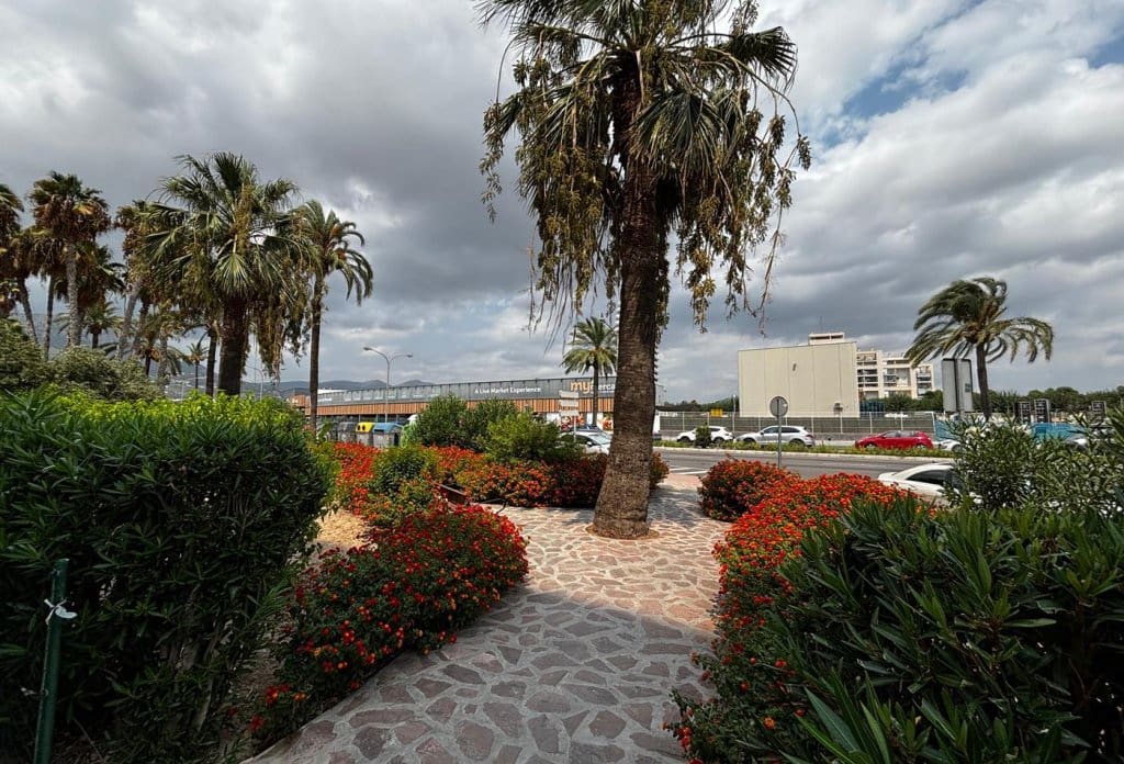 2 Zimmer Apartment zu verkaufen in Calpe / Calp mit Pool - 350.000 € (Ref: 10082053)