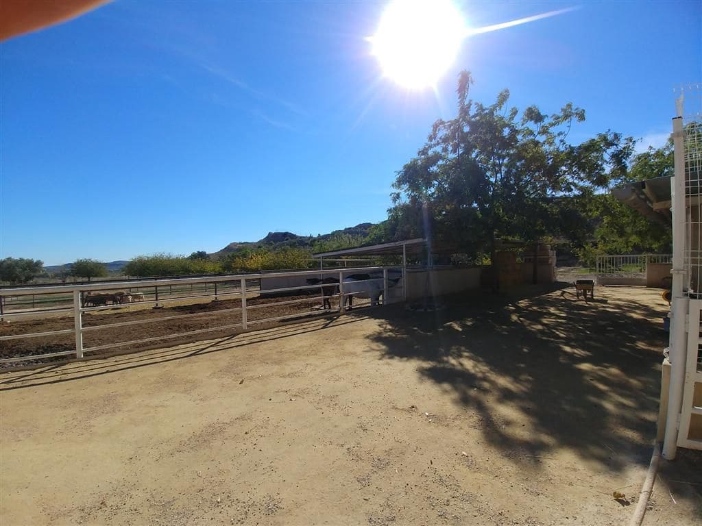 Finka/Dom wiejski na sprzedaż w Elche / Elx - 295 000 € (Ref: 9111858)