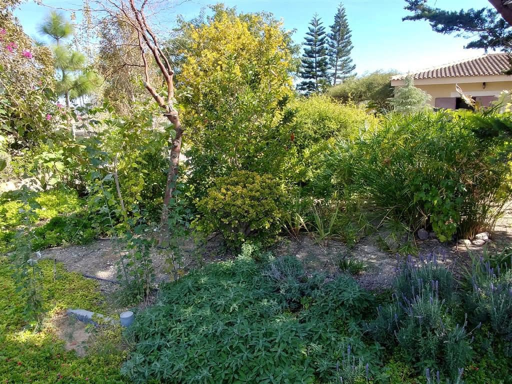 Finka/Dom wiejski na sprzedaż w Elche / Elx - 295 000 € (Ref: 9111858)