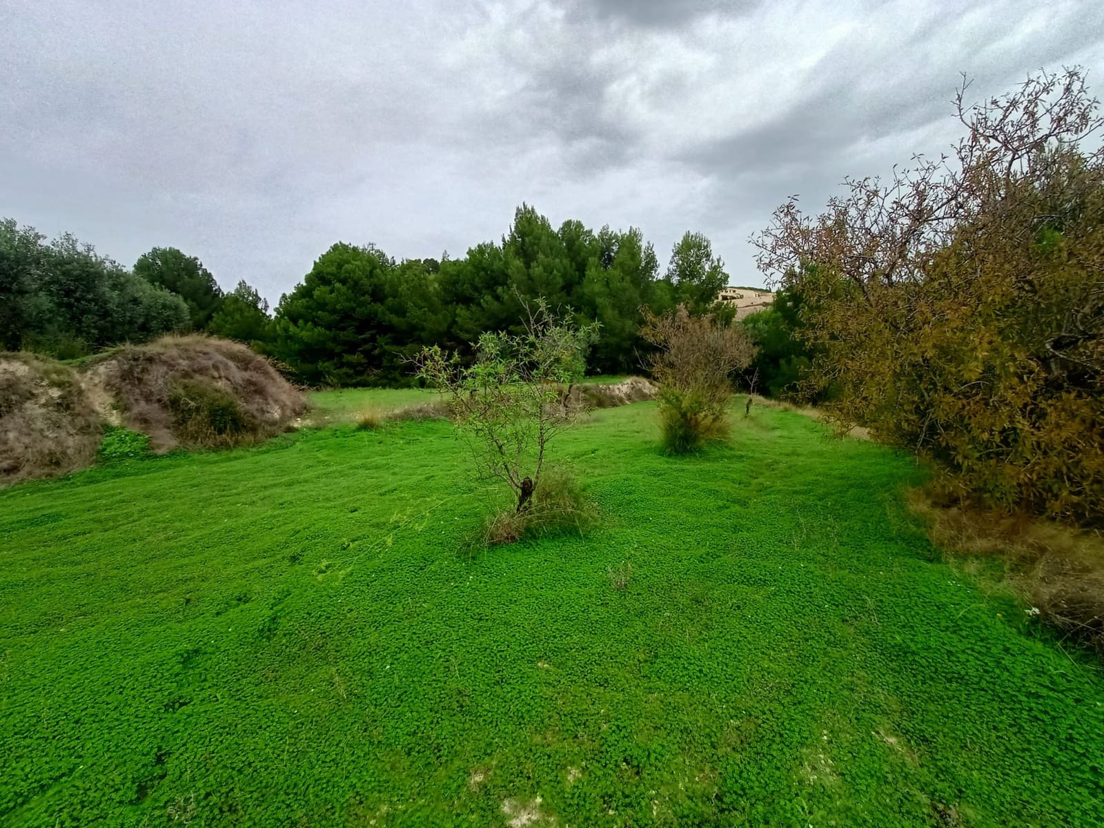 Mark till salu i Benissa - 195 000 € (Ref: 9242113)