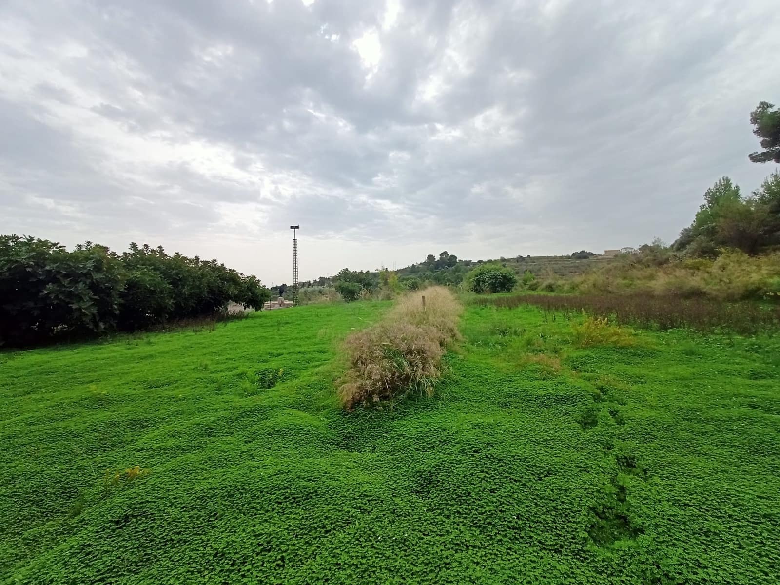 Mark till salu i Benissa - 195 000 € (Ref: 9242113)