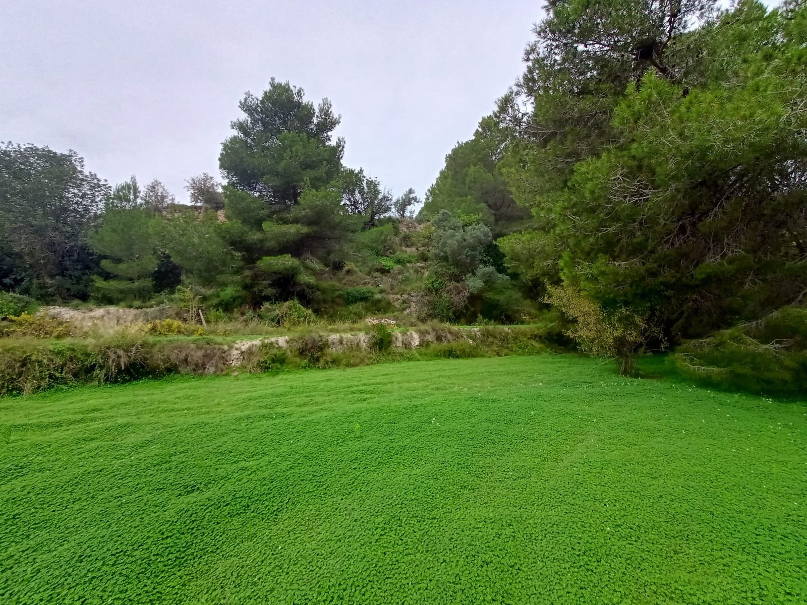 Mark till salu i Benissa - 195 000 € (Ref: 9242113)